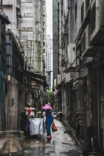 最近最新香港警匪片电视剧（最新香港警匪片电视剧大全）